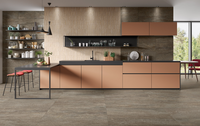 CERDOMUS ELEMENT BROWN 60x120 ANTIDERAPANT 20 mm