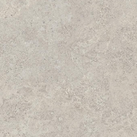 EMILCERAMICA LANDSCAPE CENERE 30x60 SILKTECH