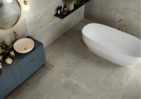 SERENISSIMA PROMENADE ARGENTO 60x60 ANTIDERAPANT R11 20 mm