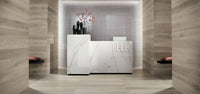 FAP CERAMICHE FAPNEST SILVER 20x120 R11