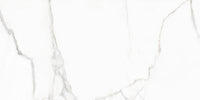 NAXOS RHAPSODY WHITE BEAUTY 60x120 POLI