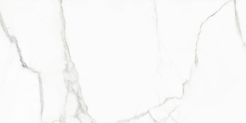 NAXOS RHAPSODY WHITE BEAUTY 60x120 POLI
