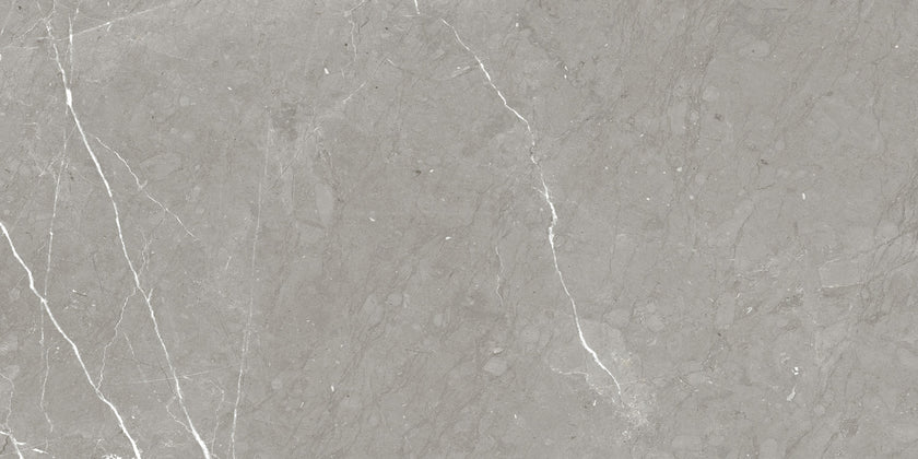 NAXOS RHAPSODY ALLURE 60x120 POLI