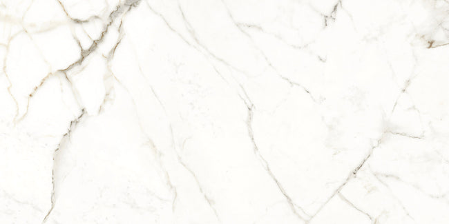 NAXOS RHAPSODY EMOTION 60x120 POLI