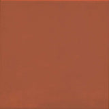 VIVES 1900 ROJIZO 20x20 MAT