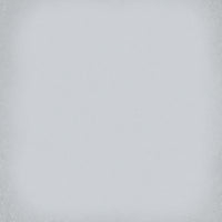 VIVES 1900 GRIS 20x20 MAT