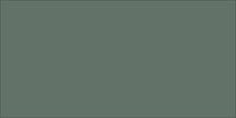 WOW Solid S 6,2x12,5 cm – teinte Moss