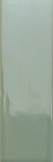 WOW BITS KALE 3,7x11,6 GLOSS