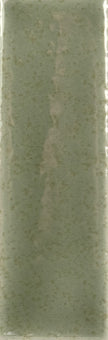 WOW Skin 4x12,5 cm brillant – teinte Moss