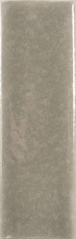 WOW Skin 4x12,5 cm brillant – teinte Mink