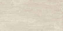 NAXOS FOYER 60x120 PREMIERE MAT