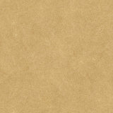 COTTO D'ESTE KERLITE ARKETIPO HELIOS SOLIDA  60x120 NATURAL 3,5 mm