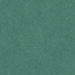 COTTO D'ESTE ARKETIPO SILVA SOLIDA  60x120 NATURAL 3,5 mm