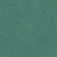 COTTO D'ESTE ARKETIPO SILVA SOLIDA  60x120 NATURAL 3,5 mm