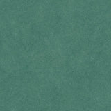 COTTO D'ESTE ARKETIPO SILVA SOLIDA  60x120 NATURAL 3,5 mm