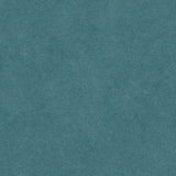 COTTO D'ESTE ARKETIPO AVIO SOLIDA  60x120 NATURAL 3,5 mm