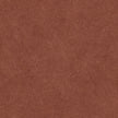 COTTO D'ESTE ARKETIPO CARMINIO SOLIDA  60x120 NATURAL 3,5 mm