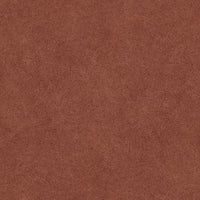 COTTO D'ESTE ARKETIPO CARMINIO SOLIDA  60x120 NATURAL 3,5 mm