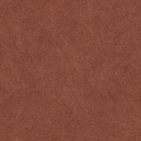 COTTO D'ESTE ARKETIPO CARMINIO SOLIDA  60x120 NATURAL 3,5 mm