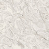 Carrelage Versace Maximvs Megabarocco Statuario White 60x120 cm
