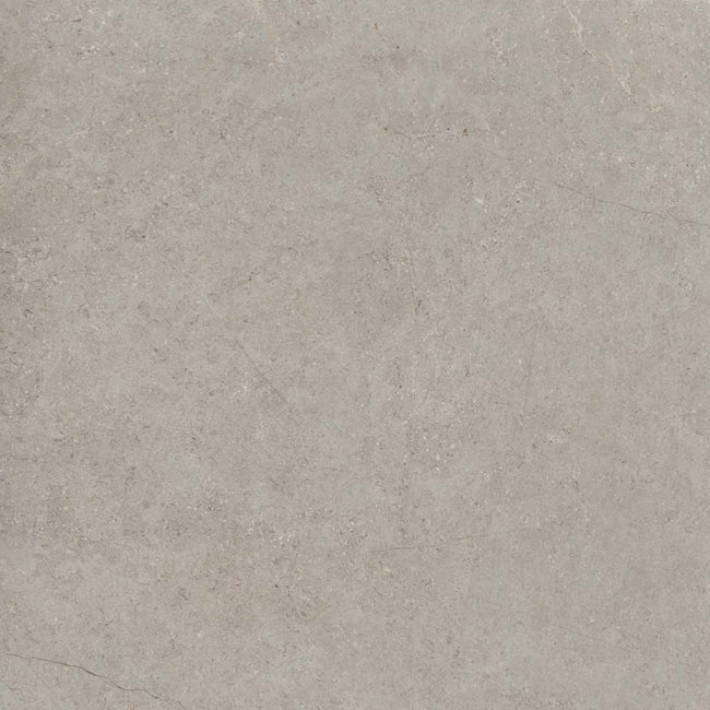 GARDENIA ORCHIDEA LA GEOTECA VICENZA 120x120 MAT