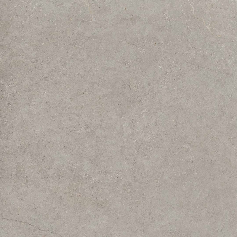 GARDENIA ORCHIDEA LA GEOTECA VICENZA 60x120 MAT