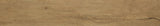 FAP CERAMICHE ROOTS GOLD 20x120 MAT R11