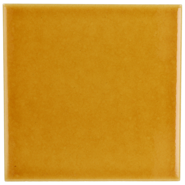Carrelage Evolution 15 x 15 cm Amber
