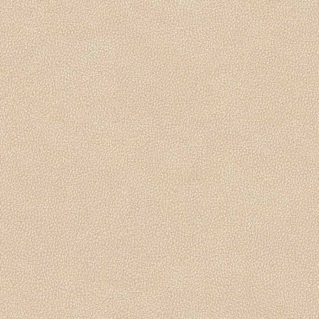 Carrelage Versace Leatherwood Cuir Beige 60x120 cm