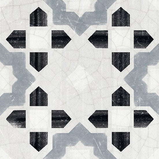 FIORANESE CEMENTINE SHINY SHINY_2 LUCIDO 20x20