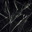 GARDENIA ORCHIDEA LA MARMOTECA DEEP GREEN 120x120 LUX