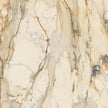 GARDENIA ORCHIDEA LA MARMOTECA ANTIQUE BROWN 120x120 LUX