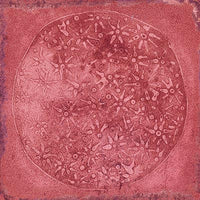 VIVES RUBRICA LUCA CARLO GRANATE-B 20x20 BRILLLANT