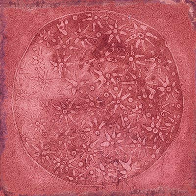VIVES RUBRICA LUCA CARLO GRANATE-B 20x20 BRILLLANT