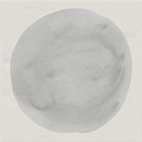 VIVES RUBRICA PAOLA HUGO-B 20x20 BRILLANT