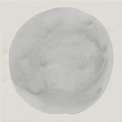 VIVES RUBRICA PAOLA HUGO-B 20x20 BRILLANT