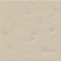 VIVES RUBRICA PAOLA BEIGE-B 20x20 BRILLANT