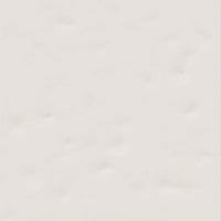 VIVES RUBRICA PAOLA BLANCO-B 20x20 BRILLANT