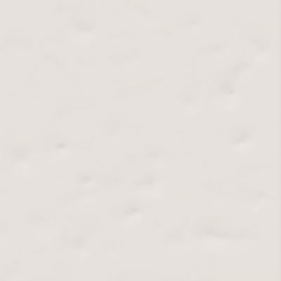 VIVES RUBRICA PAOLA BLANCO-B 20x20 BRILLANT