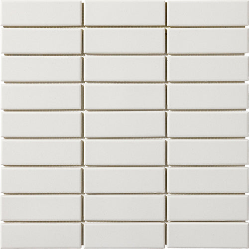 CESI Full Body 3x10 cm sur trame Fluoro