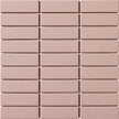 CESI Full Body 3x10 cm sur trame Agata