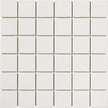 CESI Full Body 5x5 cm sur trame Fluoro