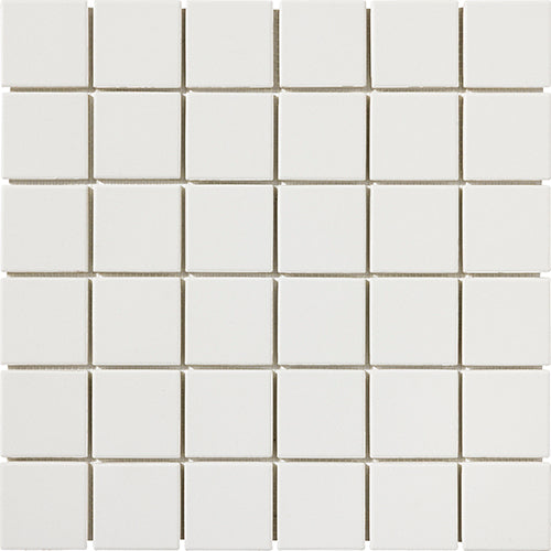 CESI Full Body 5x5 cm sur trame Fluoro