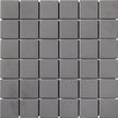 CESI Full Body 5x5 cm sur trame Nickel