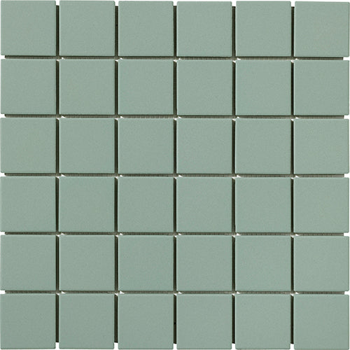 CESI Full Body 5x5 cm sur trame Ossido
