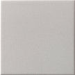 CESI Full Body 10x10 cm Alluminio