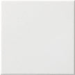 CESI Full Body 10x10 cm Fluoro