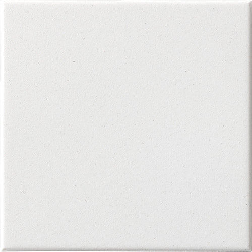 CESI Full Body 10x10 cm Fluoro