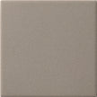 CESI Full Body 10x10 cm Xeno