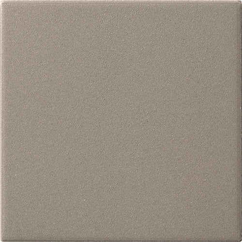 CESI Full Body 10x10 cm Xeno